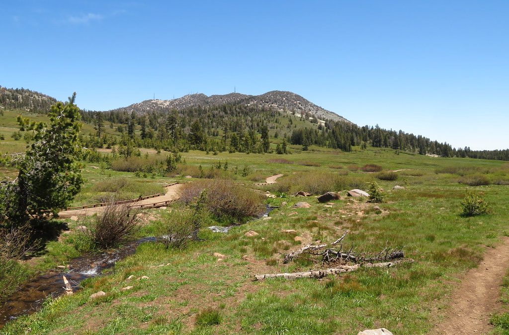 Explore Tahoe Meadows and Its Natural Beauty with the TMAR Accessibility Ramp!