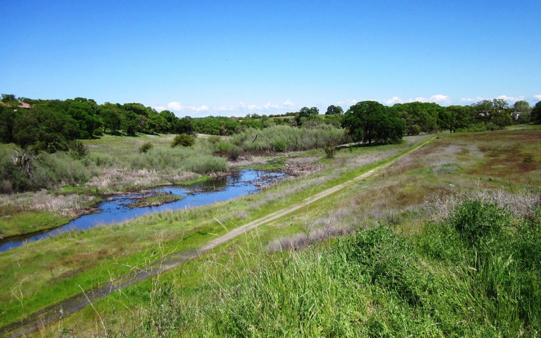 Explore the Serene Beauty of Roseville’s Miners Ravine Trail Loop