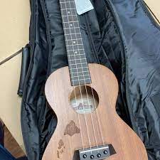 Unlock Your Musical Potential with Jim D’Ville’s Play By Ear Ukulele Workshop