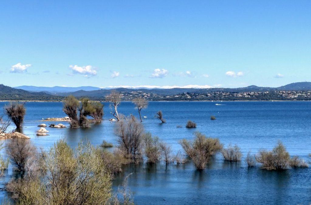 A Hiker’s Paradise: Unveiling the Most Scenic Trails Near Roseville, CA