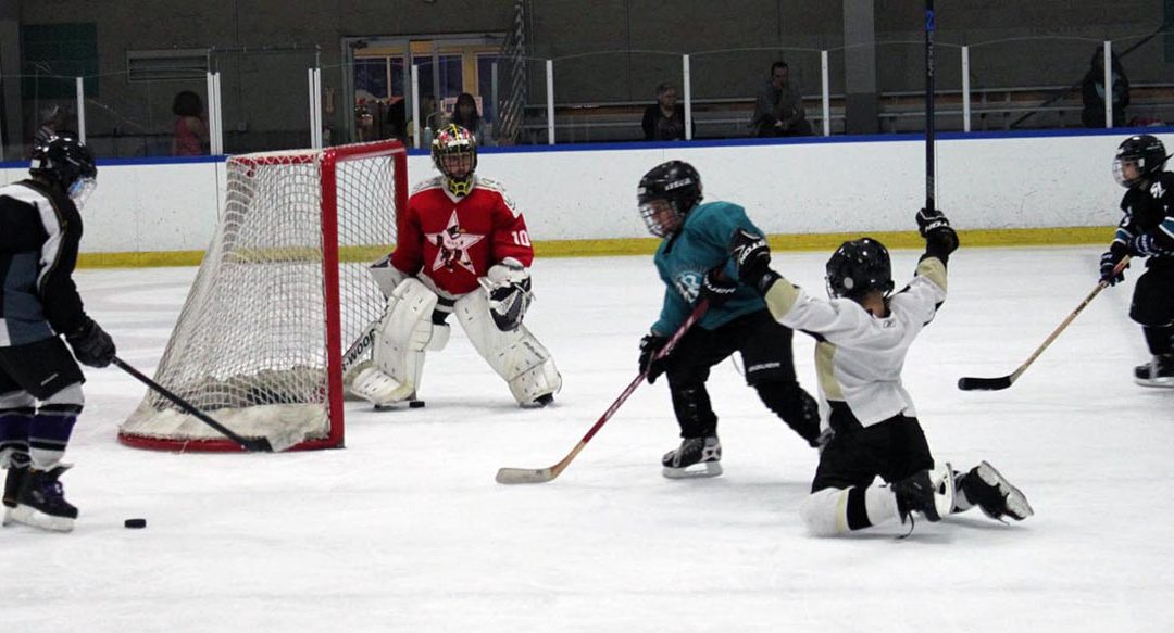 Skate Into Fun: Discover the Magic of Skatetown Ice Arena in Roseville