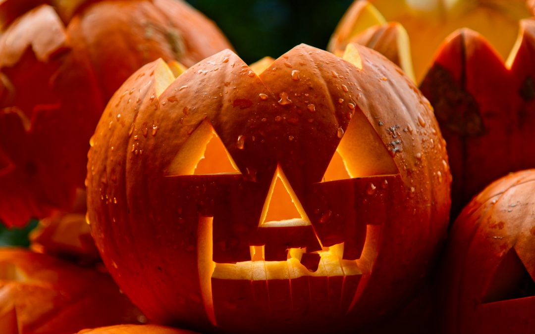 Fun and Frights: Roseville’s Top Halloween 2024 Events for Kids and Adults