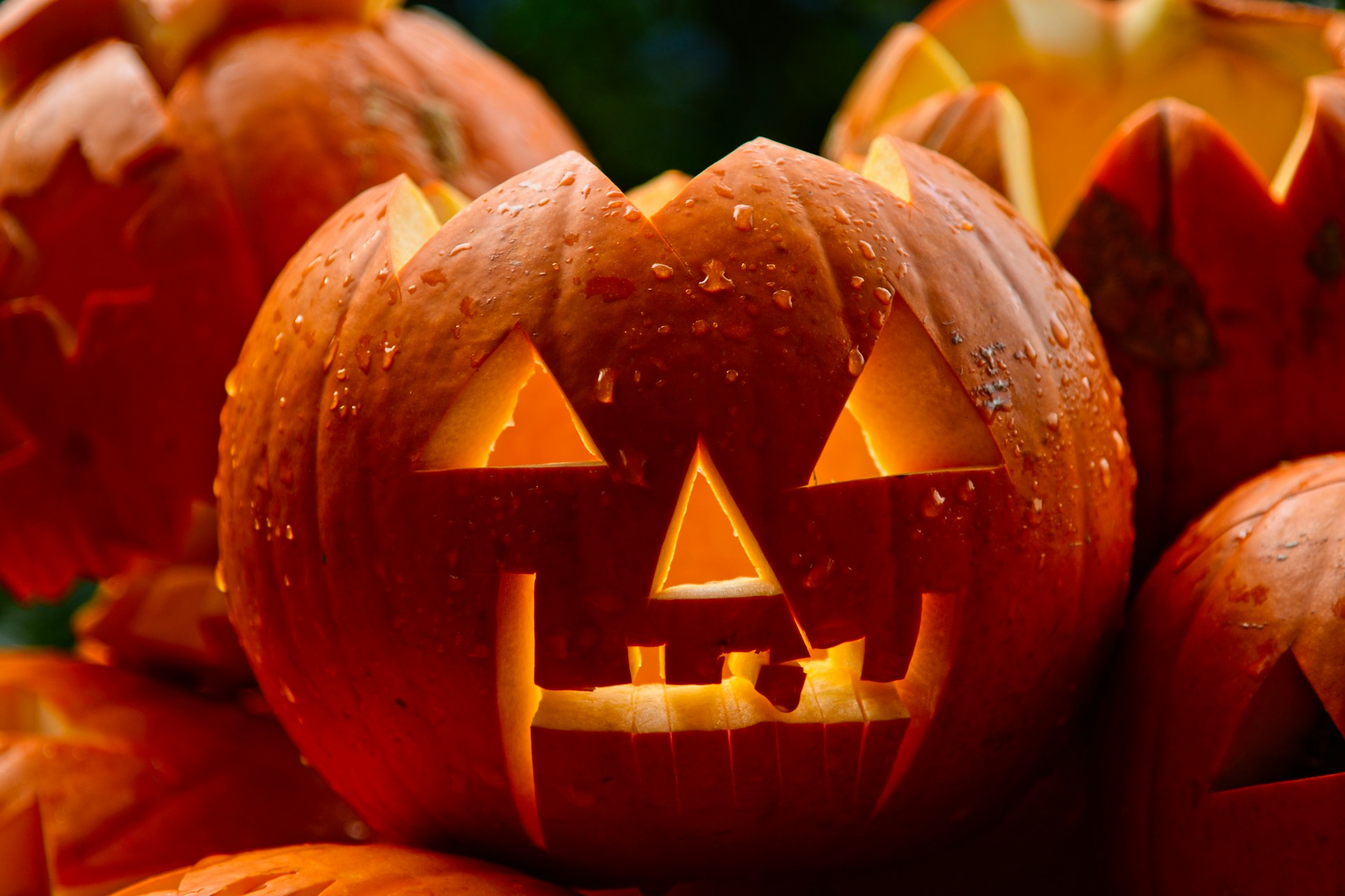 Fun and Frights Roseville’s Top Halloween 2024 Events for Kids and