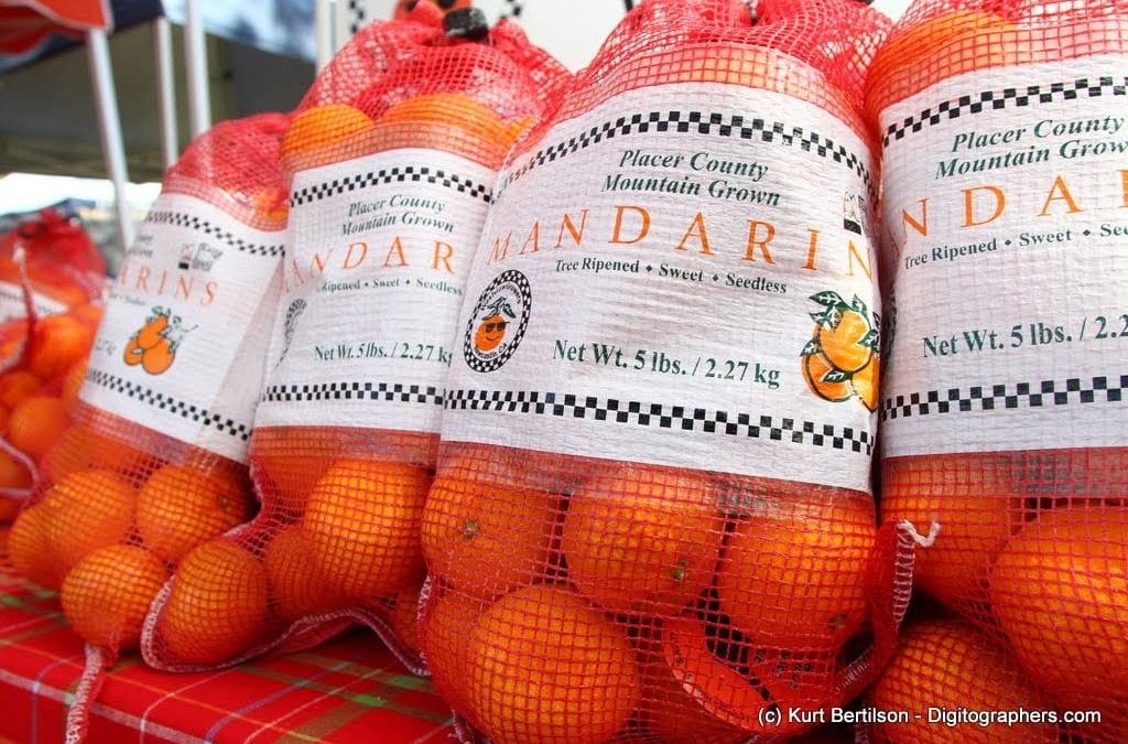 Mandarin Orange Festival Roseville – A Citrus Celebration You Can’t Miss!