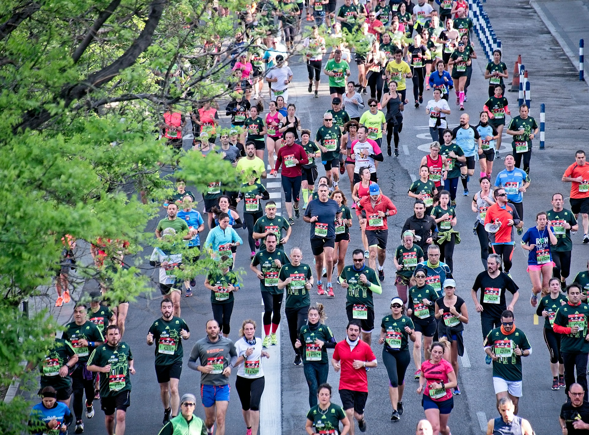 Roseville Turkey Trot 2024: 5K and 10K Fun Run on Thanksgiving Morning