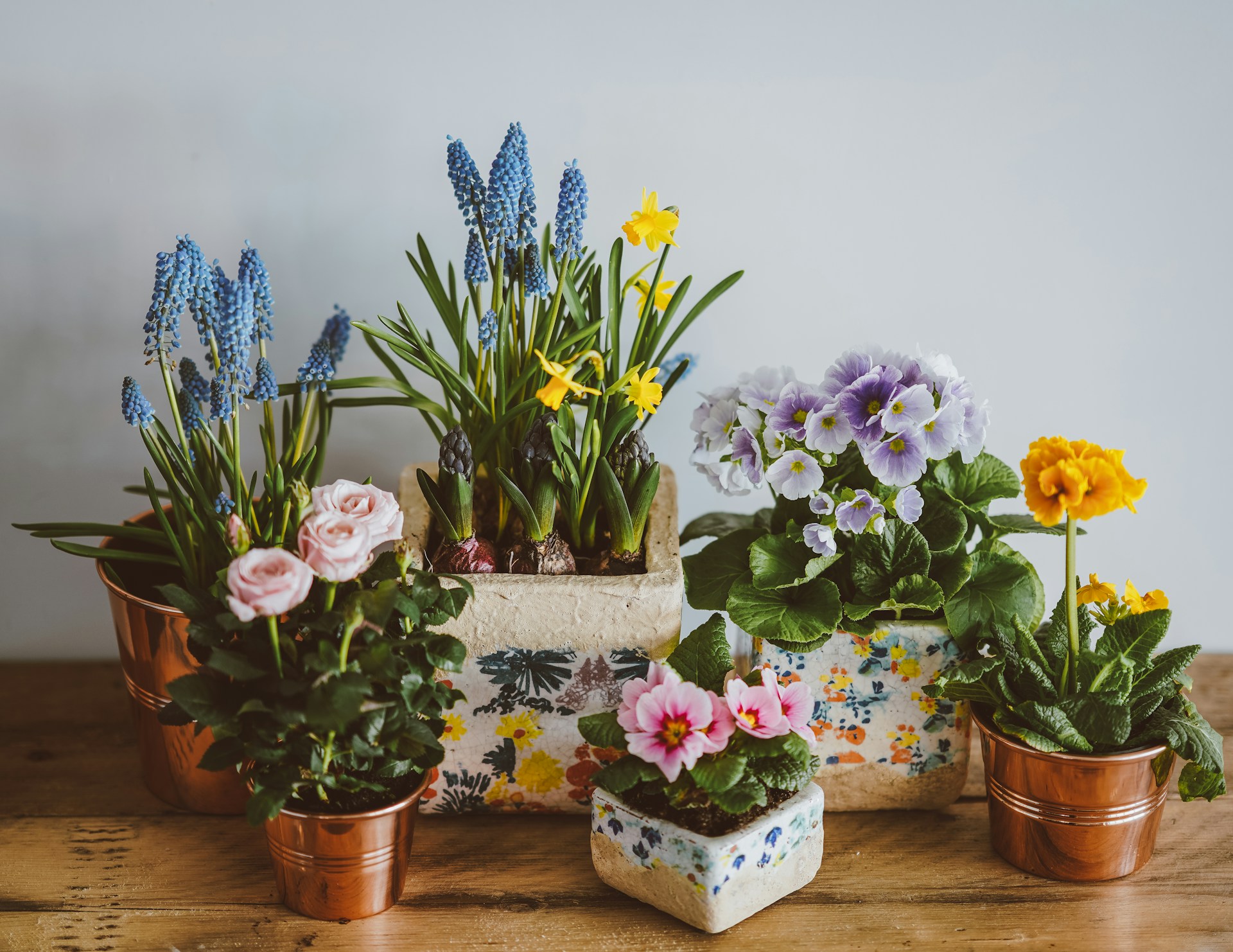 Cocktail Glassware Meets Plants: Valentine's Crafting Experience